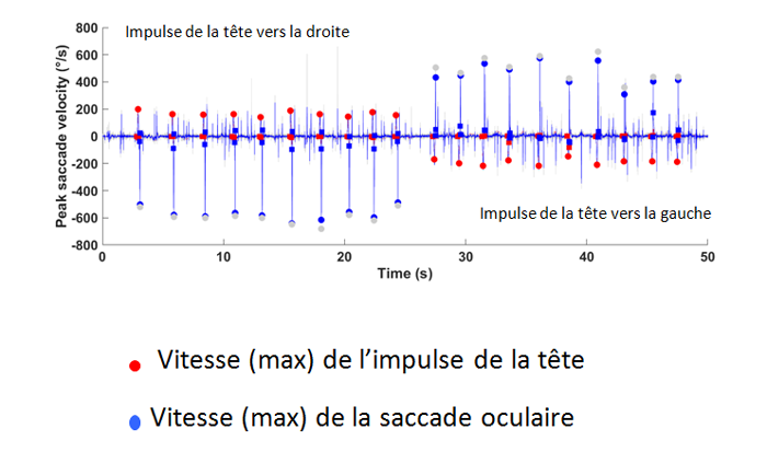 graphique-test-schimps-1